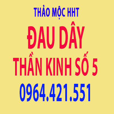  daythankinhso5hht
